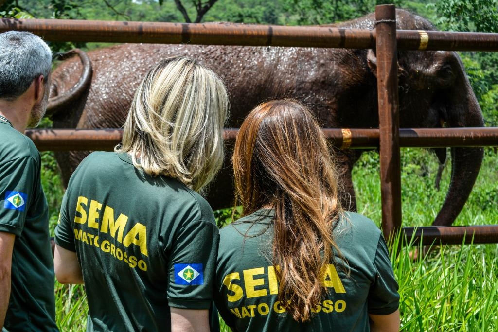 Foto: Tchlo Figueiredo - SECOM/MT