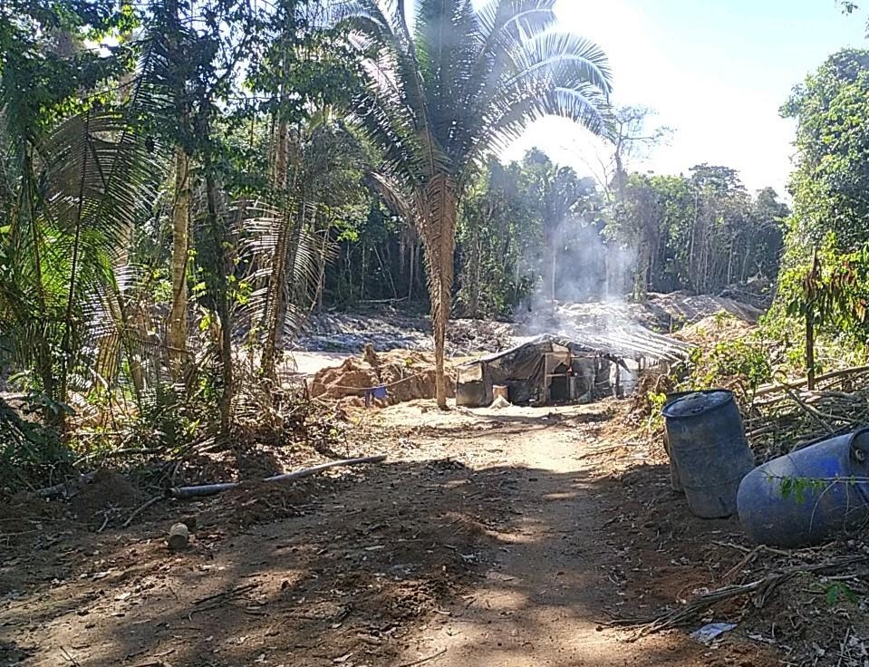 A ação fiscalizatória foi conduzida pela Secretaria de Estado de Meio Ambiente juntamente com o Indea e policiais do Bope - Foto por: Sema-MT