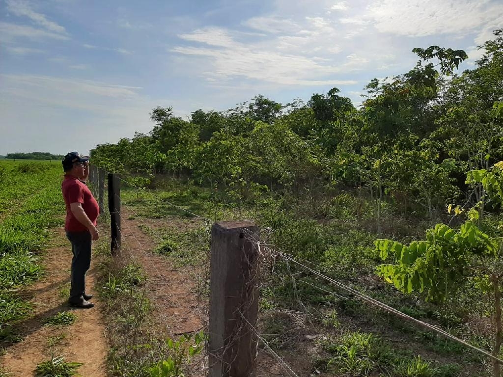 Pecuarista de Canarana (MT) mostra reflorestamento feito em pasto de sua propriedade rural - Foto: AGR Notícias