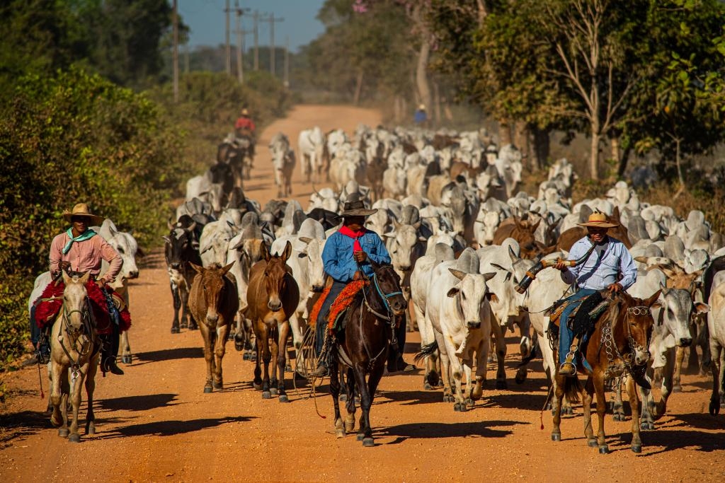 Foto: Mayke Toscano/Secom-MT