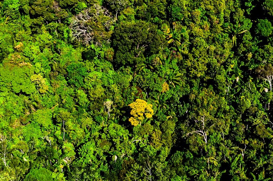 Regio Amaznica - Foto: Marcos Vergueiro/Secom-MT