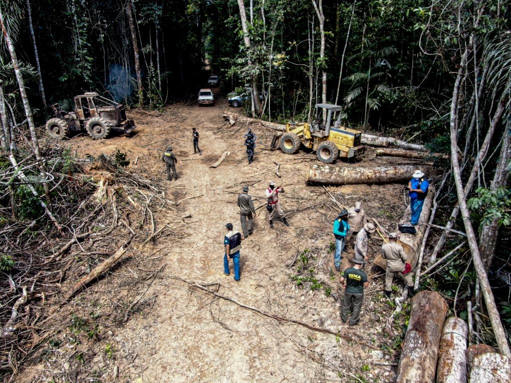 Operao Amaznia Arco Norte na regio de Aripuan - Foto: Alan Assis Silveira/Sema