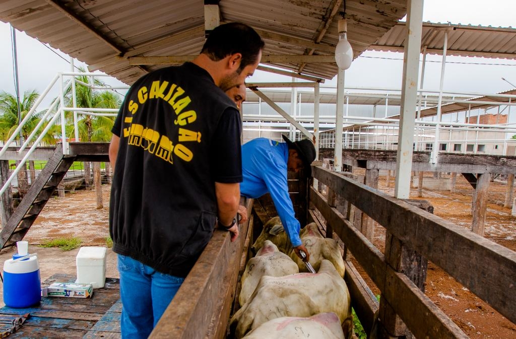 Foto: Chico Valdiner- (Gcom/MT)