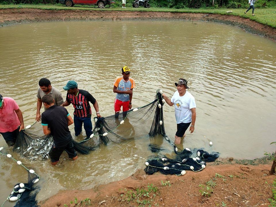 Foto: Associao Peixe Vivo