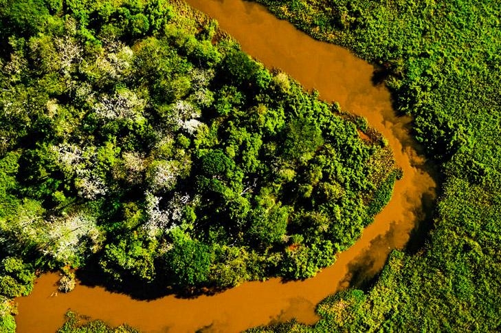Pantanal - Foto: Marcos Vergueiro