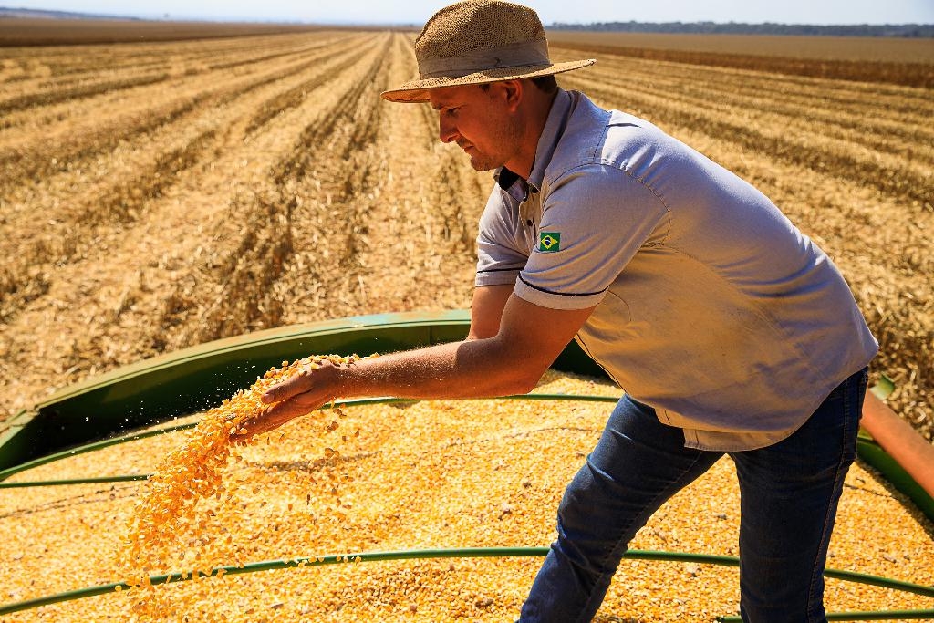 Foto: Marcos Vergueiro/Secom-MT