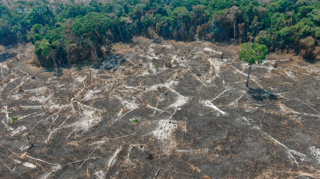 Foto: Batalho de Emergncias Ambientais