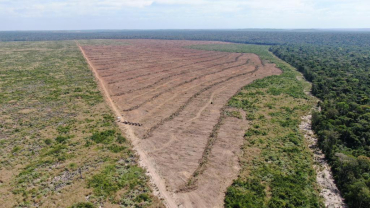 Imagem de alta resoluo captada pelo drone - Foto: Karla Silva/Sema-MT