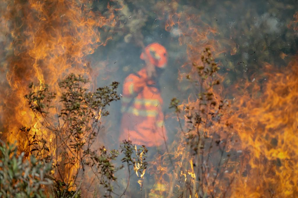 Foto: Christiano Antonucci/Secom