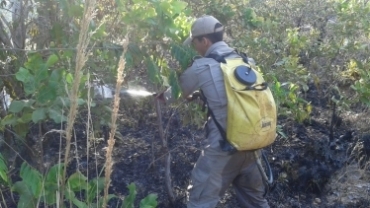 Incndio criminoso no parque Z Bolo Fl, em Cuiab, atingiu 1 hectare da unidade de conservao