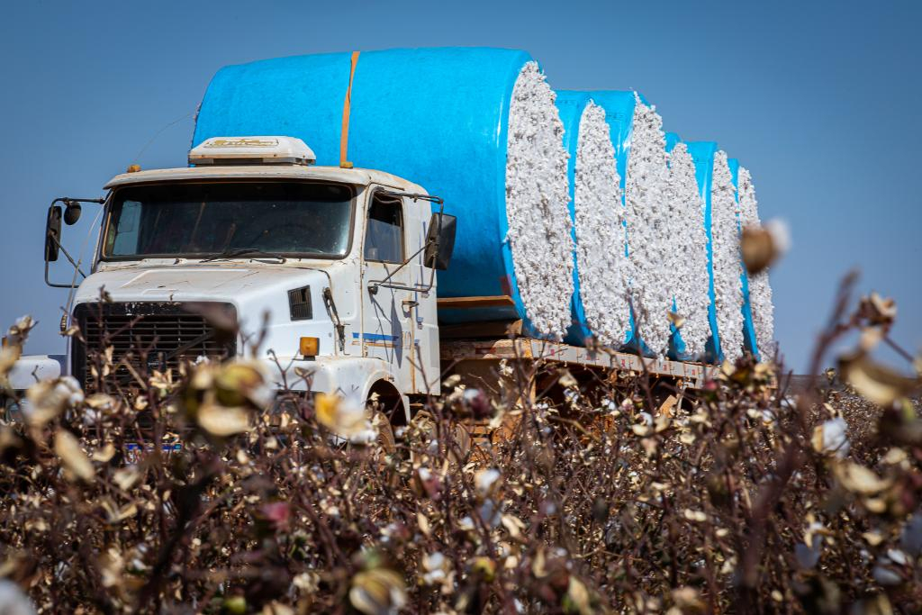 Michel Alvim - SECOM MT