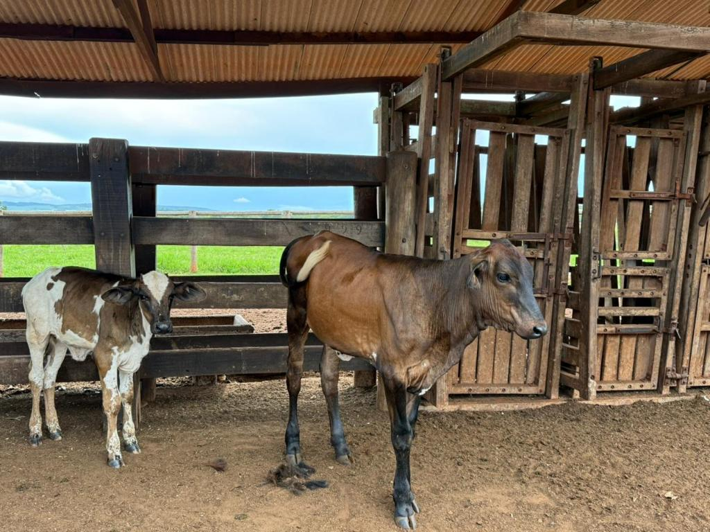 Foto: Assessoria Seaf